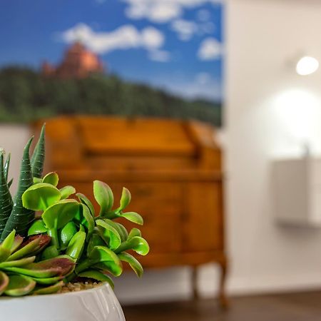 Righi Suite Apartment Bolonia Zewnętrze zdjęcie